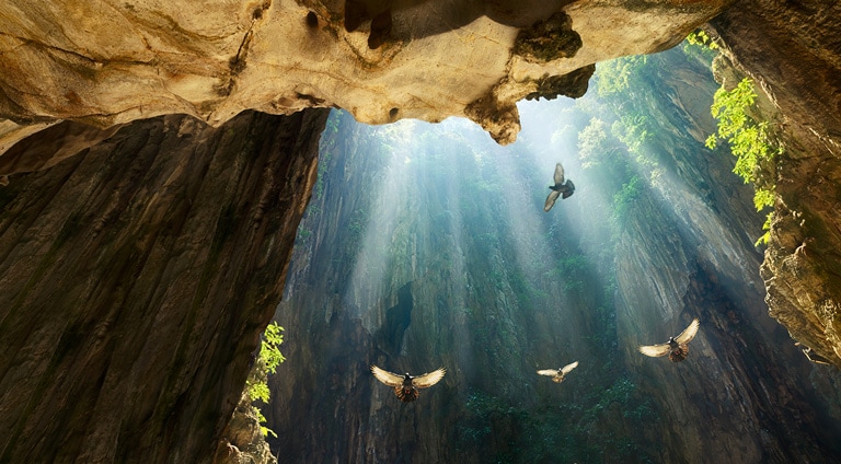 4K Cinema HDR<br>Delivers The Filmmaker's Vision2