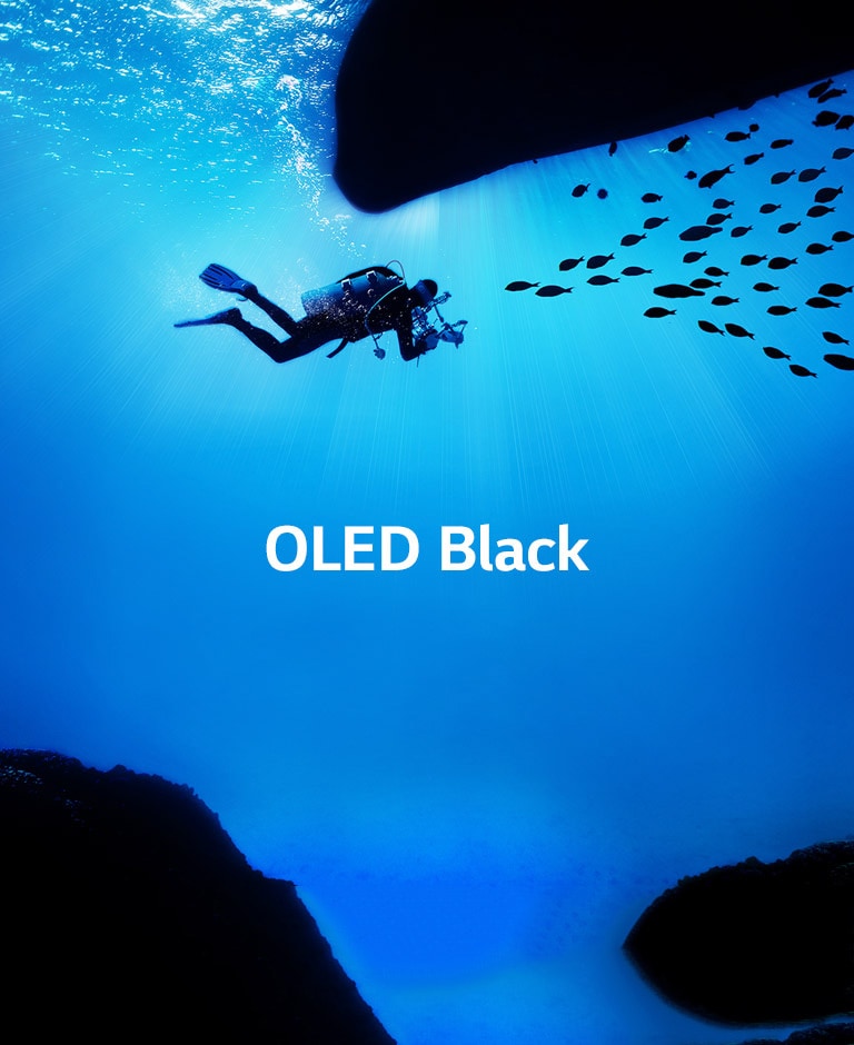 Brings Images to Life<br>2