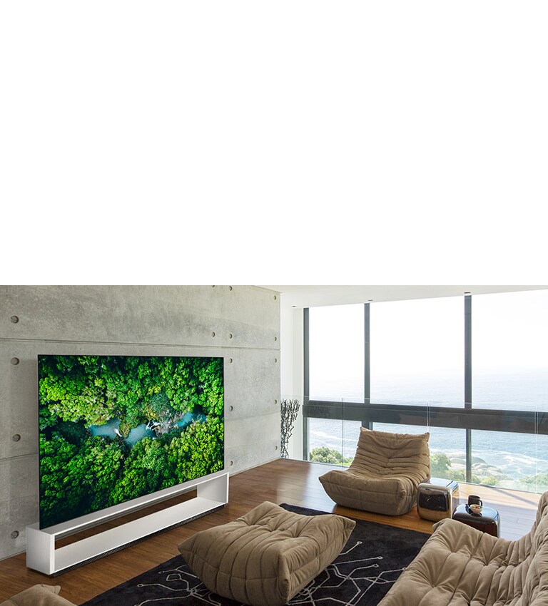 Luxurious living room with a sofa and a TV showing an aerial view of nature