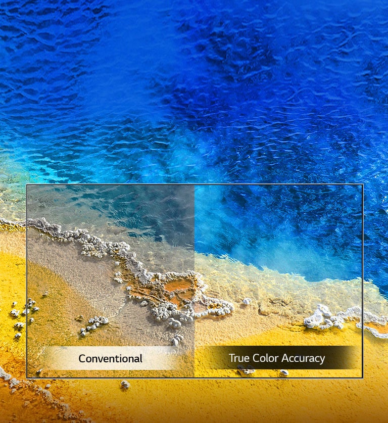 True Color Accuracy2