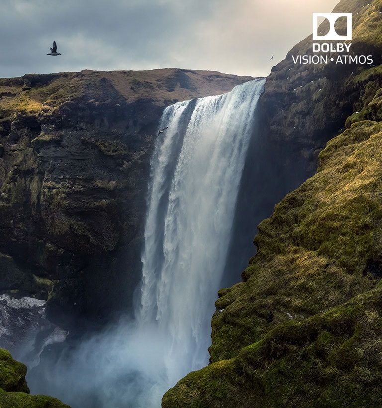 Dolby Vision & Atmos <br>Cinema Experience at Home2