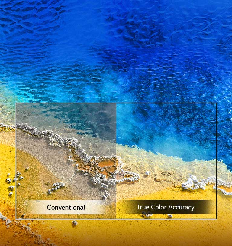 True Color Accuracy2