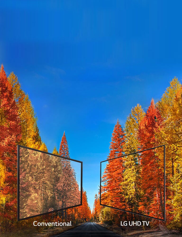 Consistent images at any angle<br>2