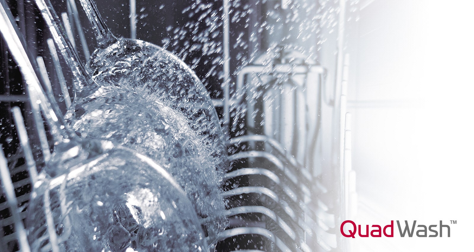 LG QuadWash™
                