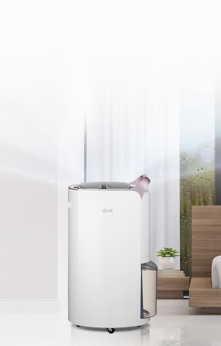 Safe Plus Filter to Health of the Family