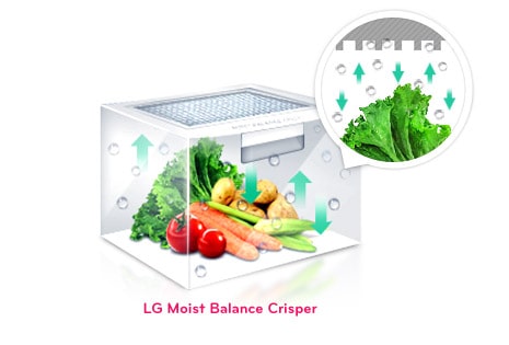 Lg Gr M257jgqv Refrigerator With Moist Balance Crisper Lg Uae