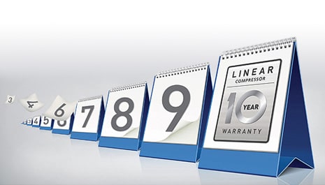 10 سنة الضمان