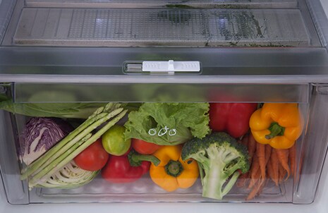 منطقة الطازجة أي وقت مضى