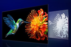 LG QNED evo AI Mini LED shows a hummingbird with a flower alongside a panel of densely arranged Mini LED lights, where precise dimming control enhances brightness and contrast across the display.