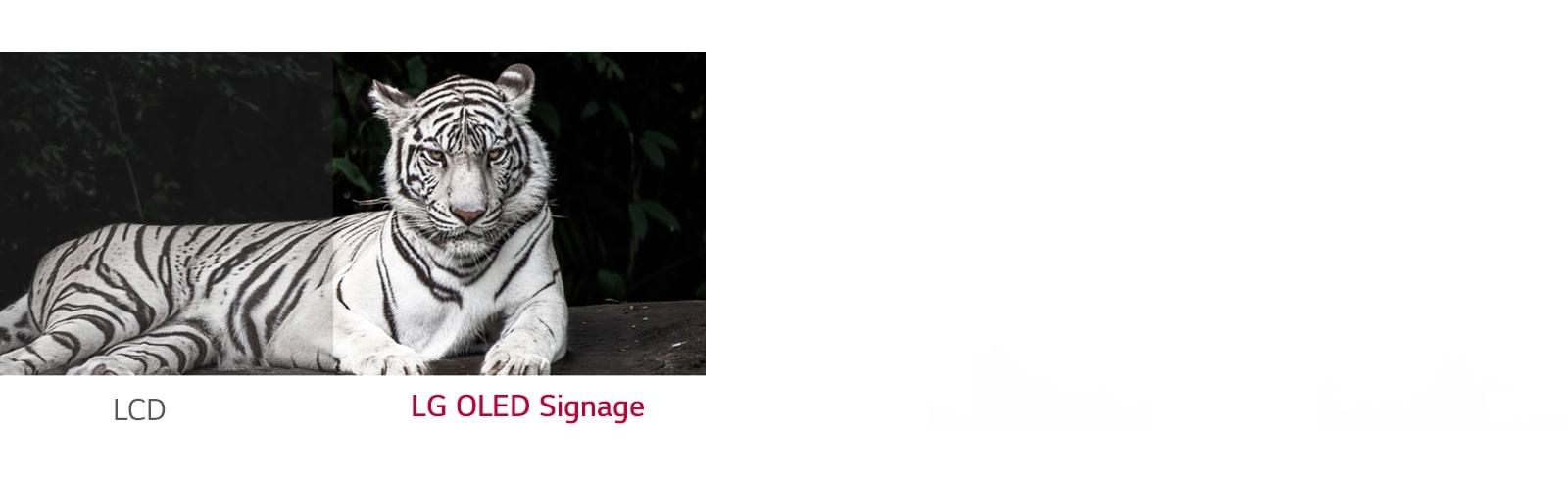 LG OLED Signage shows better contrast between black and white than ordinary LCD.