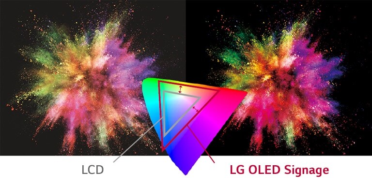 LG OLED Signage has a variety of colors rather than LCD to express the object more vividly.