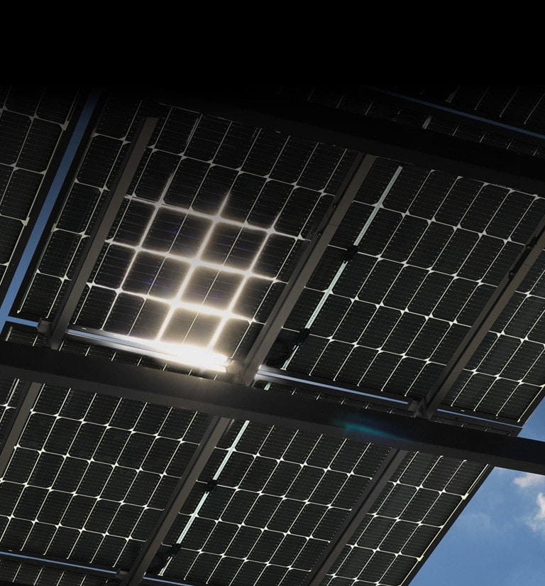 Image of LG NeON H BiFacial on the roof