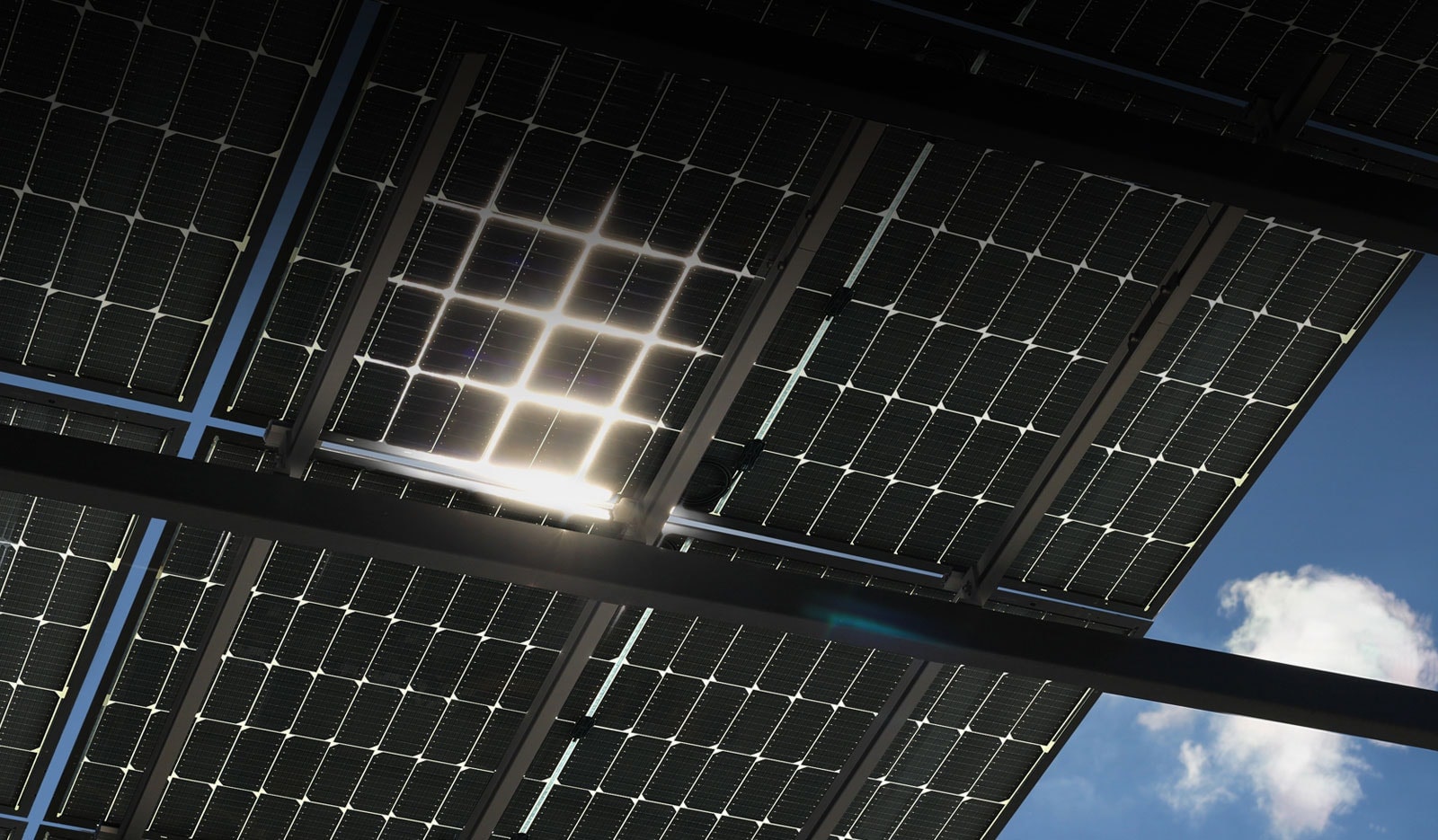Image of LG NeON H BiFacial on the roof