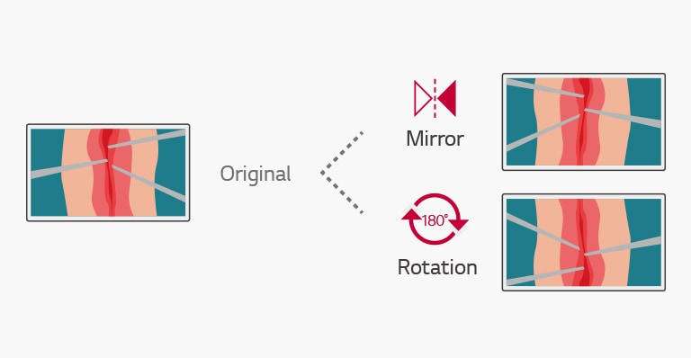 Conveniently flip and rotate the monitor to adjust to your needs. Mirror & Rotation Modes allow you to select a convenient 180° rotated/mirror image.