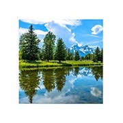 LG Digital Floor Series, front view with inscreen, LFCG039-GN, thumbnail 1