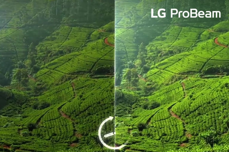 Comparison of the nature scene looking dark, and the identical nature scene looking bright.