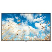 LG 75'' UHD Display Built for Hospitality Use, Front view with infill image, 75UM767H0LD, thumbnail 1