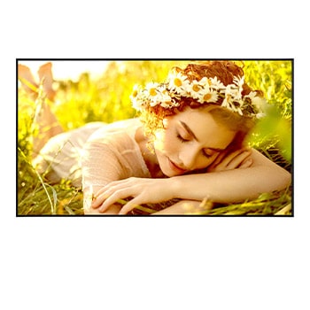 LG 43 inch 4K UHD Signage with 500 nits Brightness, 24/7 Operation and webOS 6.1, 43UL5Q-M, thumbnail 1