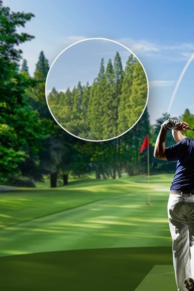A golf course scene with a zoomed-in section of trees, appearing less detailed and slightly dull, representing a lower resolution.	