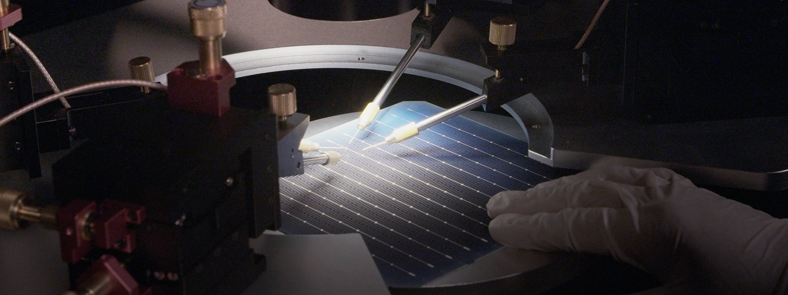 The image that is producing the Cell.