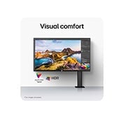 LG 31.5-inch UHD 4K Ergo IPS Monitor with DCI-P3, HDR10, USB-C, USP visual comfort, 32UN880K-B, thumbnail 15