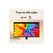 LG 27-inch LG Monitor U4, IPS Full HD 144Hz Monitor, LG FHD monitor displaying vibrant image with HDR support and sRGB 99% color coverage., 27U411B-B, thumbnail 5
