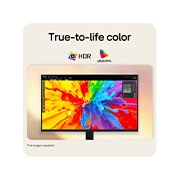 LG 24-inch LG Monitor U4, IPS Full HD 144Hz Monitor, LG FHD monitor displaying vibrant image with HDR support and sRGB 99% color coverage., 24U411B-B, thumbnail 5