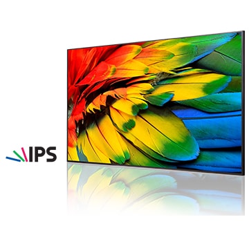 Most reliable panel in the market: Leading-edge panel technology1