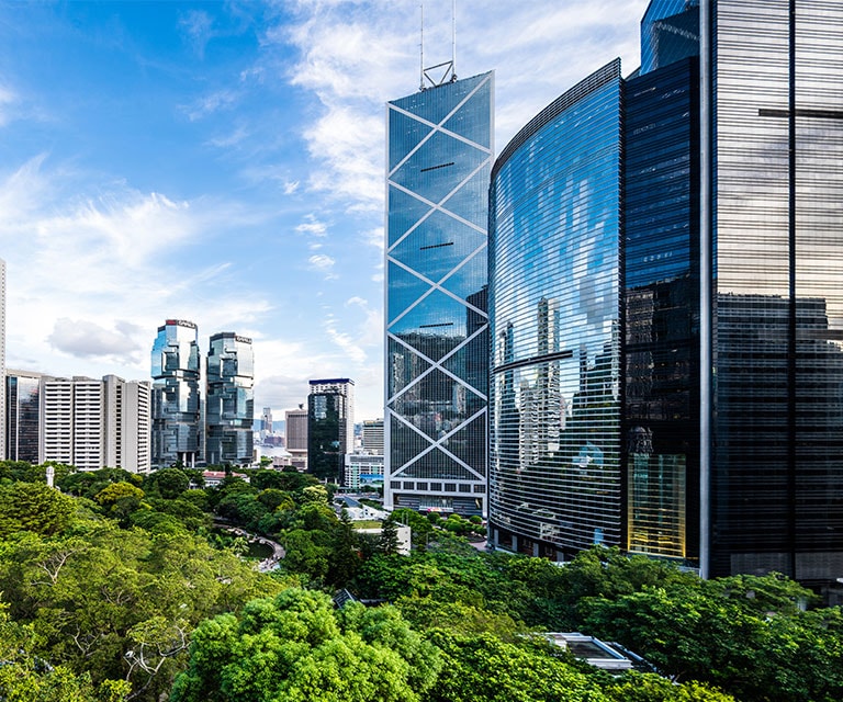 Panoramic view of a series of skyscrapers with reflective outer walls standing side by side next to a green park.