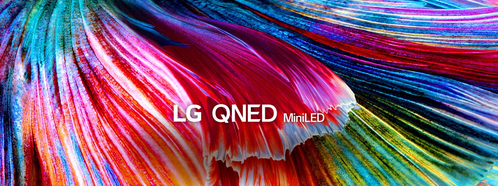 Close up shot of bright colored waves of material in shades of red, blue, green, and yellow.