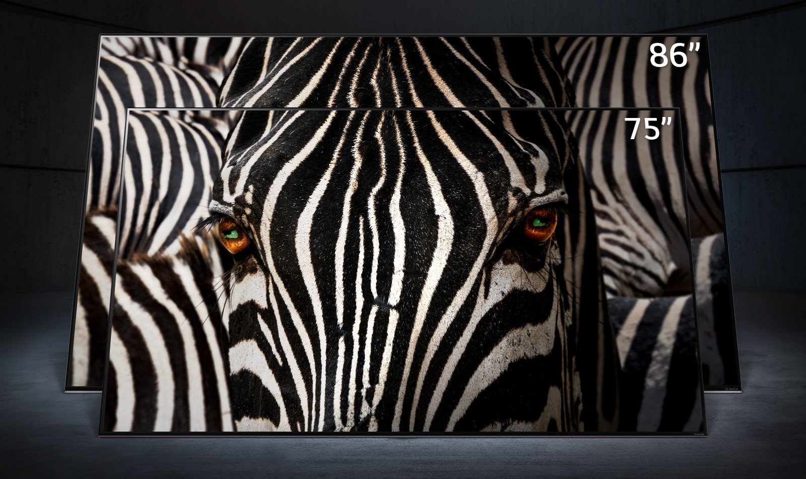 A 75-inch LG NanoCell TV stood directly in front of an 86-inch ultra-large LG NanoCell TV in a dark space. A close-up image of a zebra’s face is displayed on the screens.