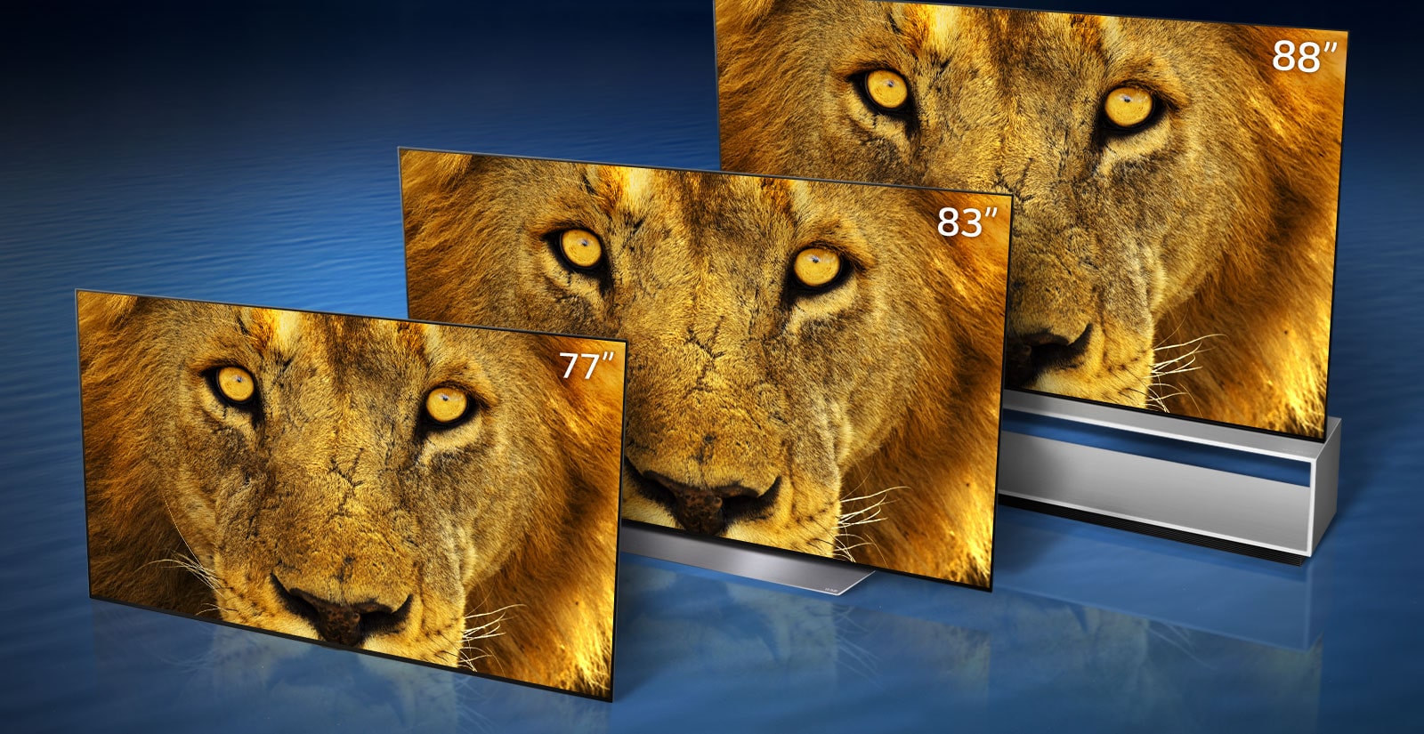 OLED TVs displaying a close up of a face of a lion in 77”, 83”, and 88” each are standing diagonally in a dark blue wave background.