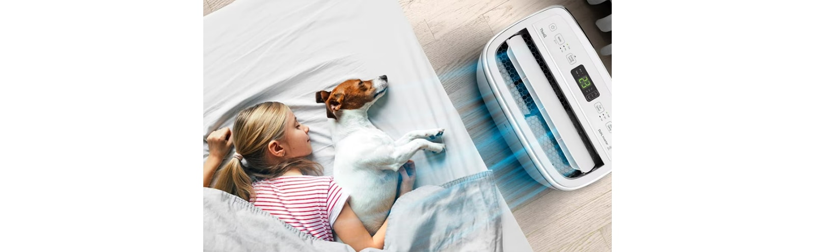 A child and a dog sleep in the cool breeze of the air conditioner