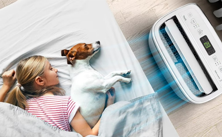 A child and a dog sleep in the cool breeze of the air conditioner