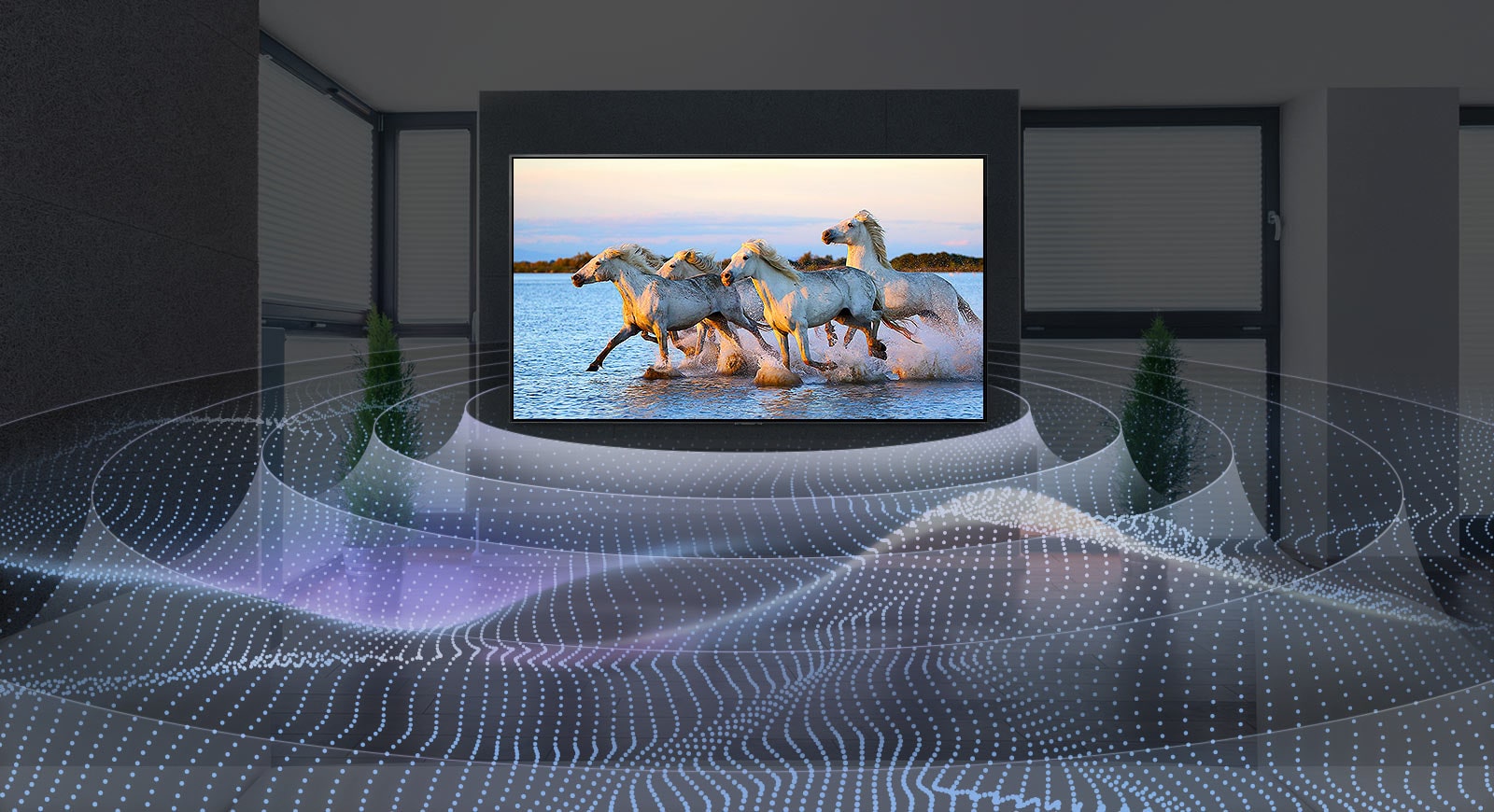 Four white horses running in the water on TV with surround sound graphic.