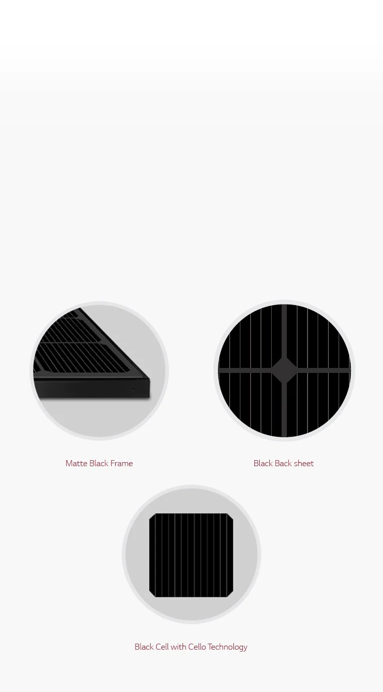 03_Aesthetic-Black-Module_Mobile-1_1565610857683