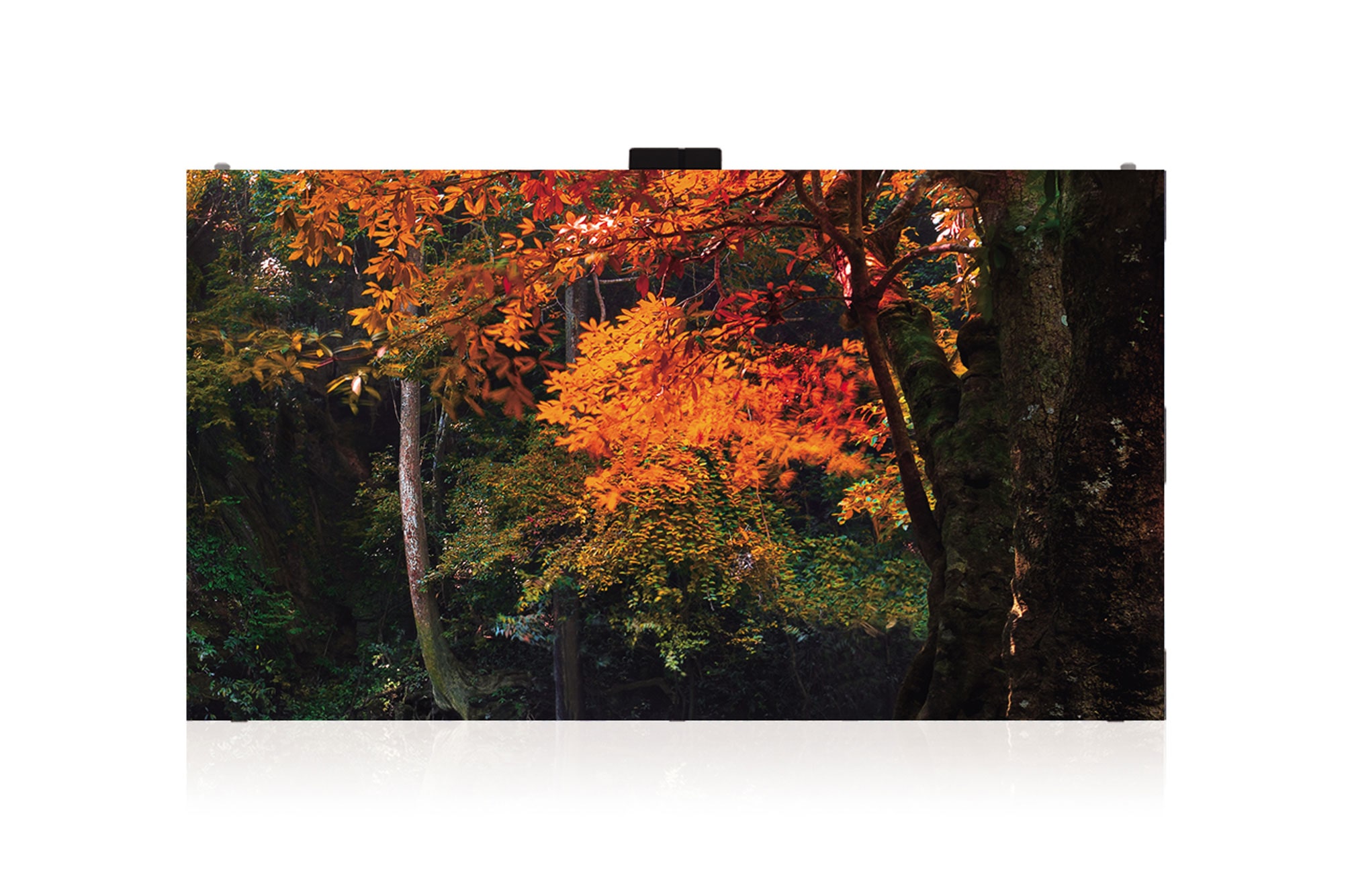 ID-LAS-Fine-pitch-Series-Gallery-01_1554160361052_1556177391678