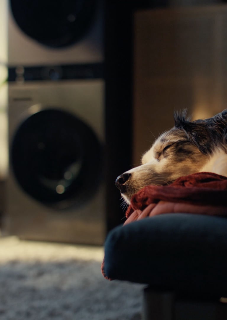 We don't make dreams.