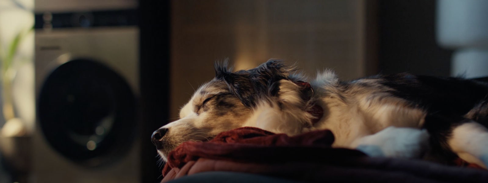 We don't make dreams.