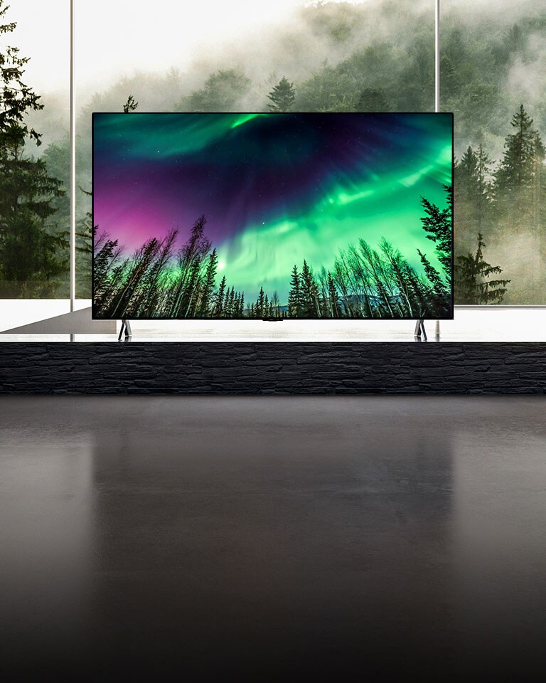 Camera moves from a close-up of top of TV down to a close-up of front of TV. TV screen shows green aurora. Camera zooms out to show very wide living room area. The living room is gray overall and there shows a forest through window outside. 
