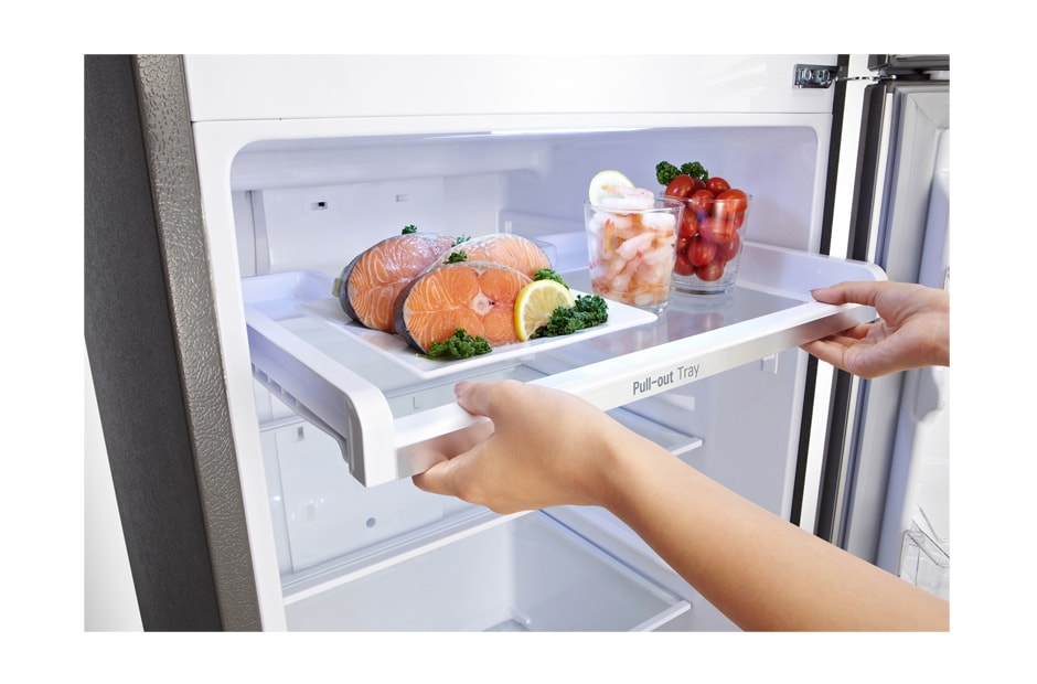 LG Compact Top Freezer Refrigerator with smart inverter compressor, GR-B422RLHL, thumbnail 7