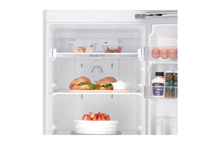 LG Compact Top Freezer Refrigerator with smart inverter compressor, GR-B312RQML, thumbnail 6