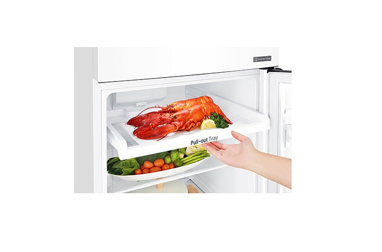 LG Top Freezer with Inverter Linear Compressor, GR-C402RQCN, thumbnail 13