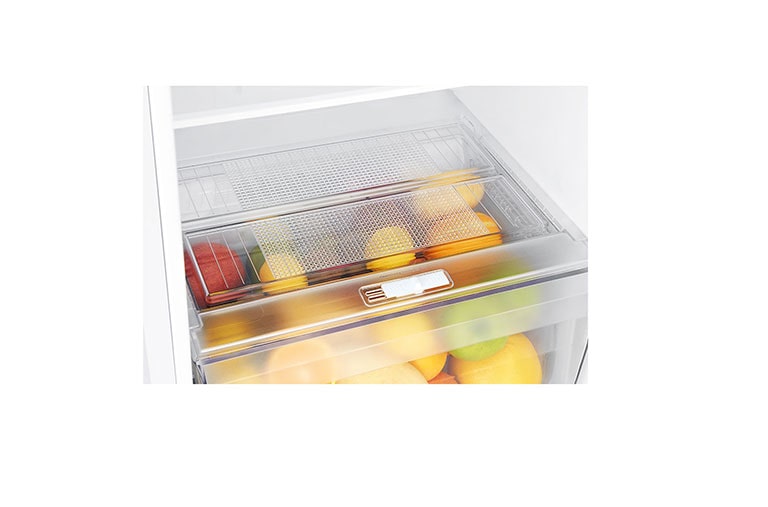 LG Top Freezer with Inverter Linear Compressor, GR-C402RQCN, thumbnail 15