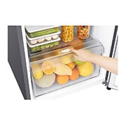 LG Top Mount Freezer, Smart Inverter, 187L, GN-B242SQBB, thumbnail 5