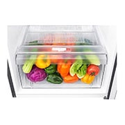 LG Top Mount Freezer, Smart Inverter, 187L, GN-B242SQBB, thumbnail 6