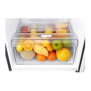 LG Top Mount Freezer, Smart Inverter, 187L, GN-B242SQBB, thumbnail 7