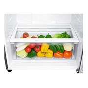LG Top Mount Freezer, Platinum Silver, Inverter Linear Compressor, DoorCooling<sup>+</sup>™, HygieneFresh+™, GN-C732HLCU, thumbnail 4
