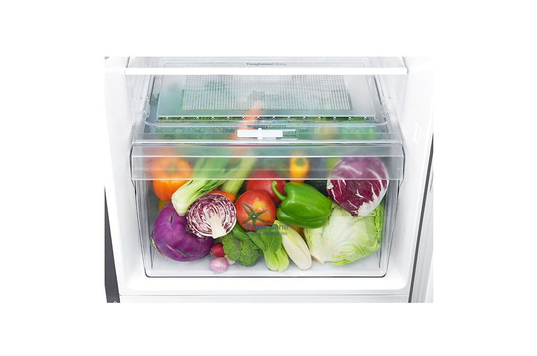 LG Top Mount Freezer, Platinum Silver, Inverter Linear Compressor, DoorCooling+™, Fresh 0 Zone, GR-C312SLBN, thumbnail 3