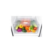 LG Top Mount Freezer, Dark Graphite, Smart Inverter Compressor, Multi Air Flow, Smart Diagnosis™, GN-B402SQCB, thumbnail 4
